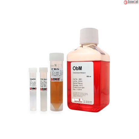 Human Osteoblast Medium-basal-phenol red free, 2x 500 ml