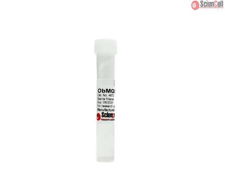 Human Osteoblast Mineralization Supplement, 5 ml
