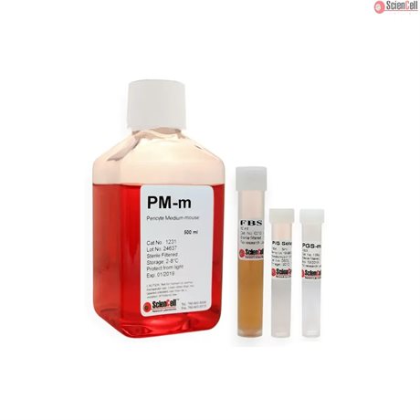 Phenol Red Free Mouse Pericyte Medium-complete, 20x 500 ml