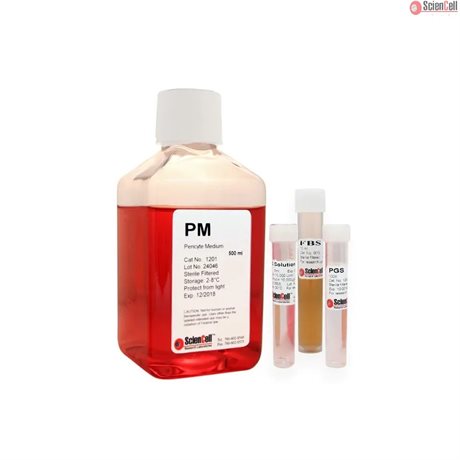Phenol Red Free Human Pericyte Basal Medium 2x 500 ml