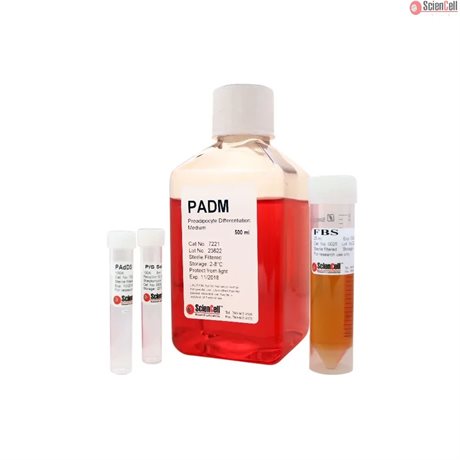 Human Preadipocyte Differentiation Medium-basal, 2x 500 ml