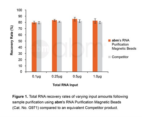 RNA Purification Magnetic Beads