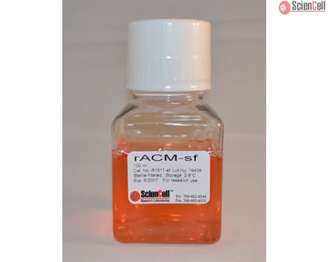 Rat Astrocyte Conditioned Medium-Serum Free, 2 x 100 ml