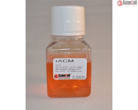 Rat Astrocyte Conditioned Medium, 2 x 100 ml