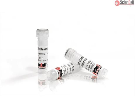 Recombinant yeast SUMO Protease