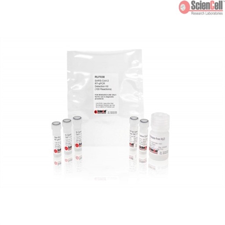 SARS-CoV-2 RT-qPCR Detection Kit