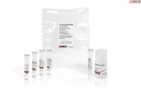 G4 EA H1N1 Swine Flu Virus RT-qPCR Detection Kit