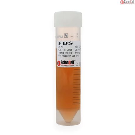 Fetal Bovine Serum (FBS), 25 ml