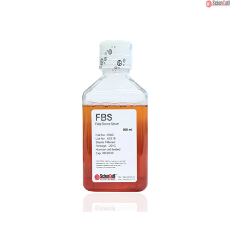 Fetal Bovine Serum, 500 ml