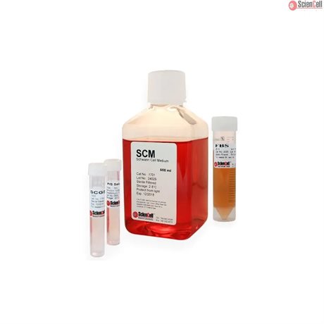 Glucose free Schwann Cell Medium-complete 2x 500 ml