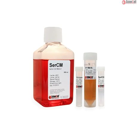 Human Sertoli Cell Medium-basal-phenol red free, 2x 500 ml