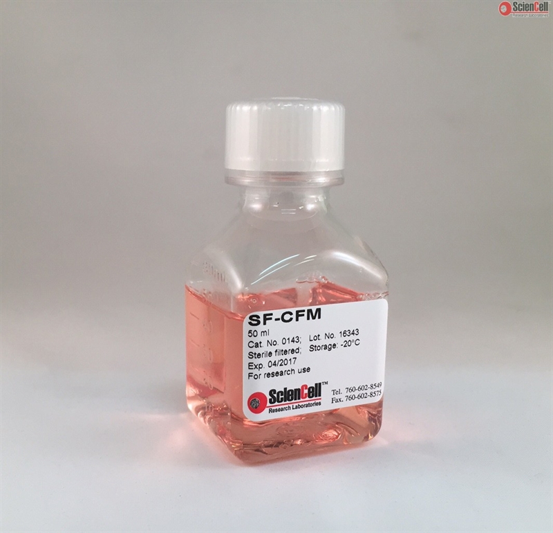 Serum Free-Cell Freezing Medium (SF-CFM)