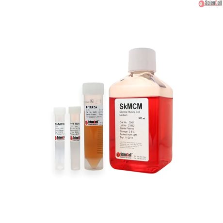 Human Skeletal Muscle Cell Medium-basal, 2x 500 ml