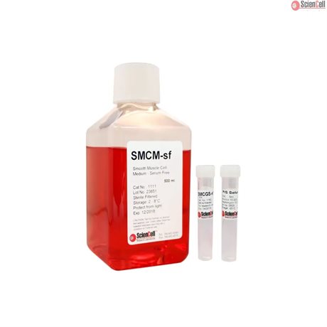 Human Smooth Muscle Medium without Serum and Phenol Red
