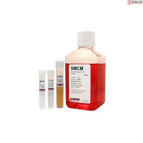 Phenol Red Free Human Smooth Muscle Cell Medium-basal, 20x 500 ml