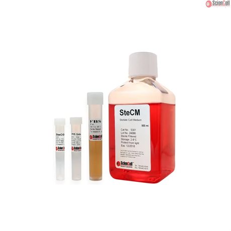 Human Stellate Cell Medium-basal, 2x 500 ml