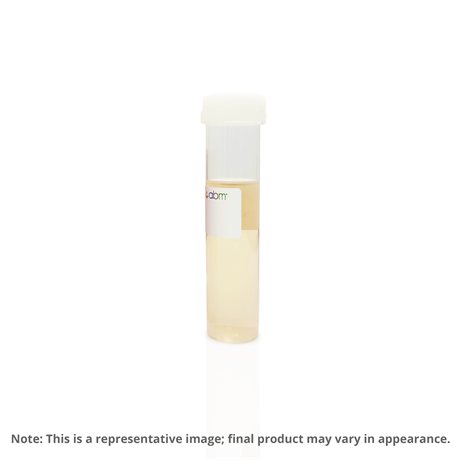 Poly-L-Ornithine Coating Solution (0.1 mg/ml)
