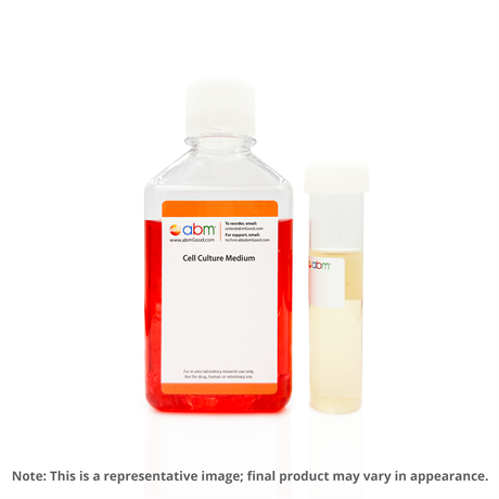 Endothelial Cell Growth Supplement (ECGS) - 500X