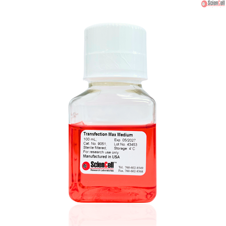 Transfection Max Medium