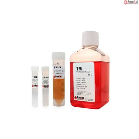 Human Trophoblast Medium-basal, 2x 500 ml