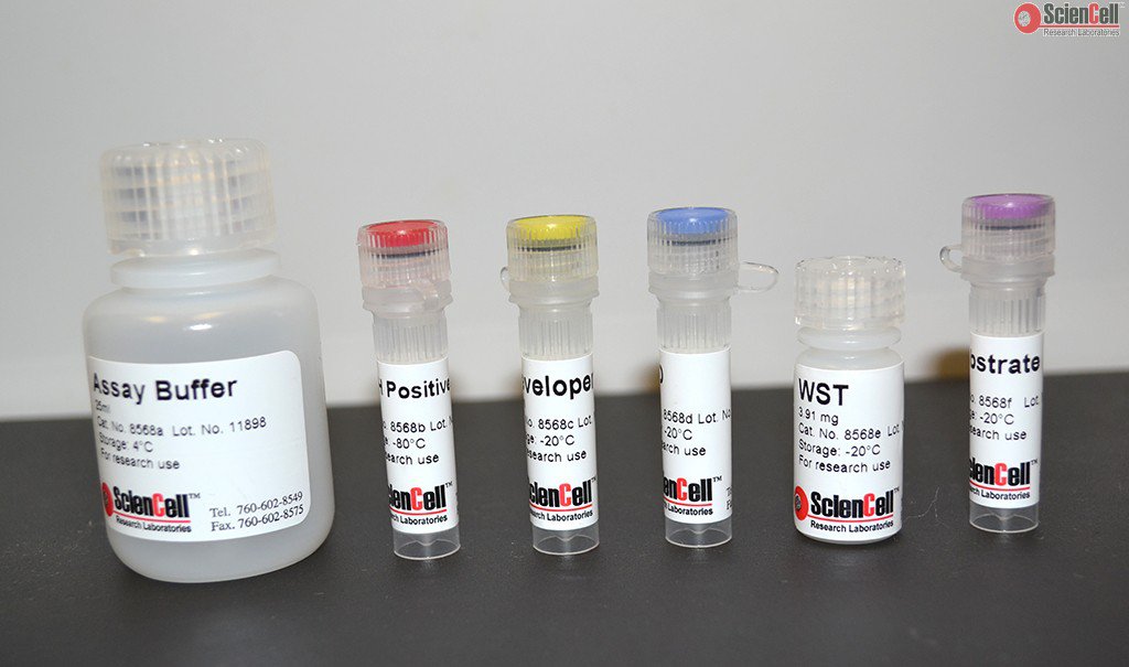 Alcohol Dehydrogenase Assay (ADH)