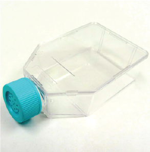 T75 Flasks Labware PriCoat T75, Extracellular Matrix-Coated Flasks