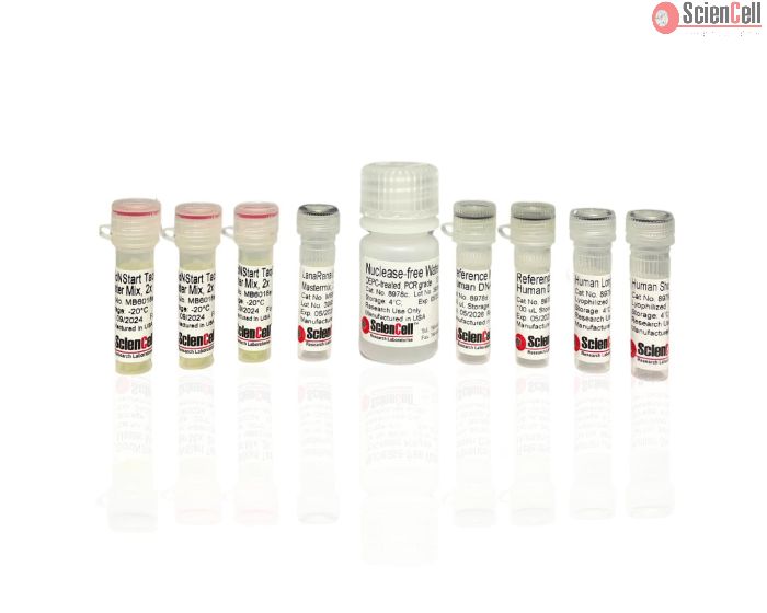 Human Mitochondrial DNA Damage Quantification qPCR Assay Kit