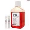 Oligodendrocyte Precursor Cell Medium-basal, 2x 500 ml