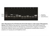 Mycoplasma Pro PCR Detection Kit