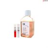Phenol Red Free Human Keratinocyte Medium-complete, 2x 500 ml