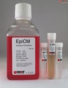 Human Epithelial Cell Medium-complete, 2 x 500 ml