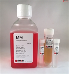 Human Microglia Medium-basal, 2 x 500 ml