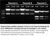 Column-Pure Plasmid Miniprep Kit