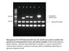 Mycoplasma Pro PCR Detection Kit