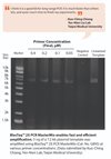 BlasTaq 2X PCR MasterMix