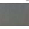 <strong>NEW!</strong> Bovine Oral Fibroblasts