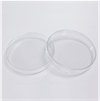 100 mm Cell Culture Dish