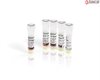 CitriNStart Taq PCR Master Mix, 2x