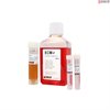 Rat Endothelial Cell Medium-complete, 2 x 500 ml