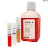 Human Epithelial Cell Medium-animal, 2 x 500 ml