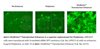 ViralEntry™ Transduction Enhancer