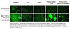 ViralEntry™ Transduction Enhancer