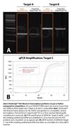 OneScript Hot RT cDNA Synthesis Kit