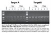 OneScript Hot RT cDNA Synthesis Kit