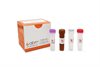 BlasTaq™ Probe One-Step RT-qPCR