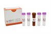 BlasTaq Probe 2X qPCR MasterMix