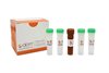 BlasTaq 2X qPCR MasterMix