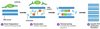 Anti-Taq Antibody