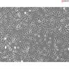 Human Coronary Artery Smooth Muscle Cells