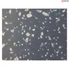<b>NEW!</b> Human Pluripotent Stem Cell Derived-Motor Neurons